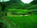 landscape near masa village2